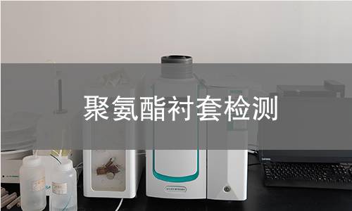 聚氨酯衬套检测