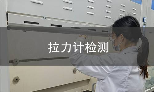拉力计检测 拉力计检测