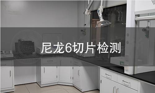 尼龙6切片检测 尼龙6切片检测