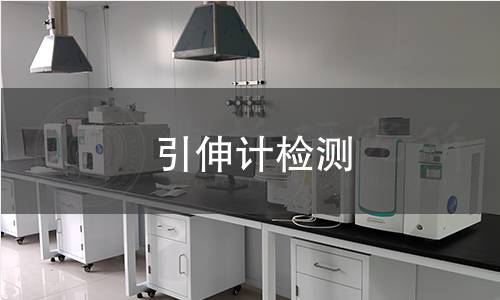 引伸计检测