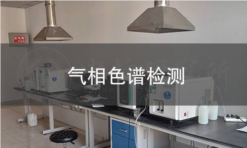 气相色谱检测 气相色谱检测