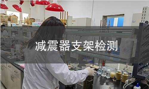减震器支架检测