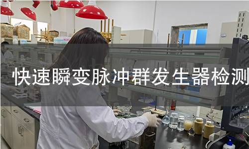 快速瞬变脉冲群发生器检测