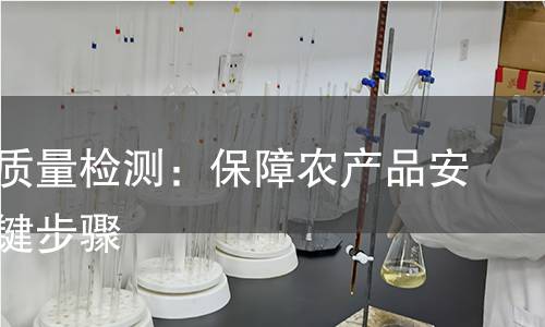 菜籽粕质量检测：保障农产品安全的关键步骤