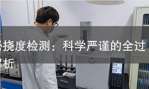 揭秘挠度检测：科学严谨的全过程解析