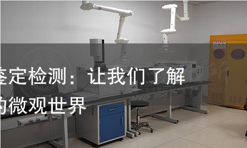 植物昆虫鉴定检测：让我们了解生态系统的微观世界