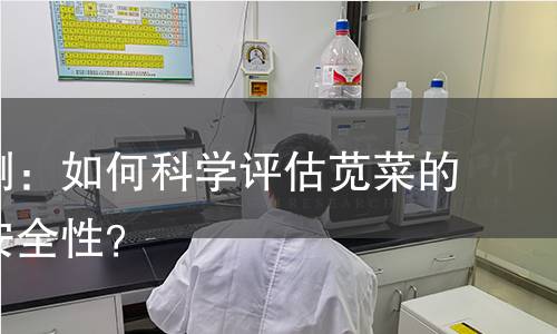 苋菜检测：如何科学评估苋菜的品质与安全性？