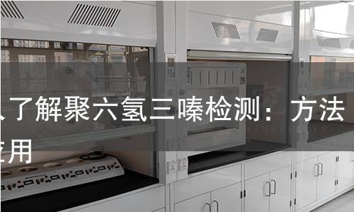 深入了解聚六氢三嗪检测:方法与应用 深入了解聚六氢三嗪检测:方法与应用