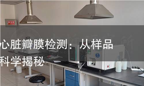全面了解心脏瓣膜检测：从样品到方法的科学揭秘