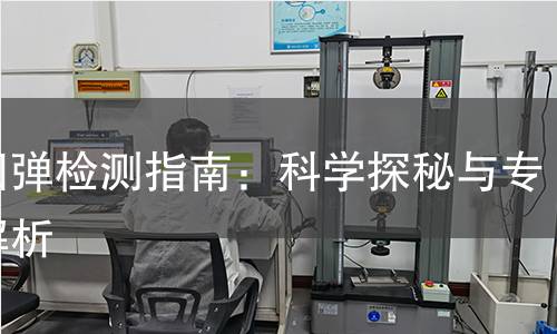 慢回弹检测指南：科学探秘与专业解析
