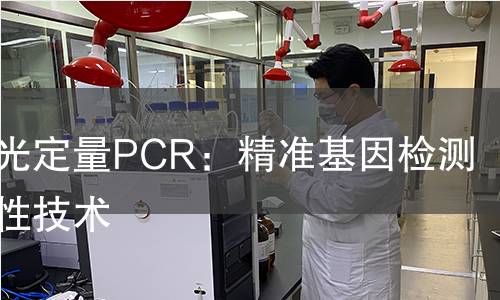 实时荧光定量PCR:精准基因检测的革命性技术 实时荧光定量PCR:精准基因检测的革命性技术