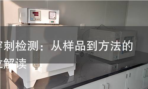 冲击穿刺检测：从样品到方法的全方位解读