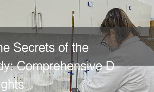 Unlocking the Secrets of the Human Body: Comprehensive Detection Insights