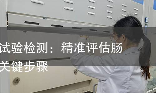 小鼠通便试验检测：精准评估肠道健康的关键步骤