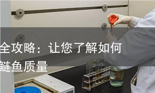 鲢鱼检测全攻略:让您了解如何科学检测鲢鱼质量 鲢鱼检测全攻略:让您了解如何科学检测鲢鱼质量