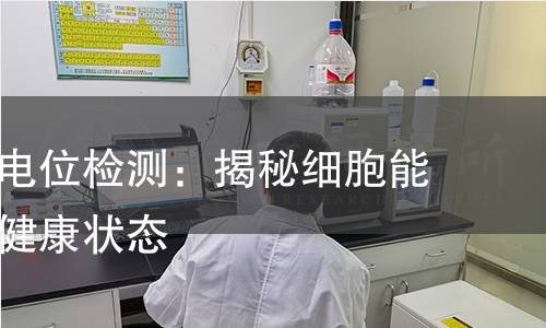线粒体膜电位检测：揭秘细胞能量工厂的健康状态