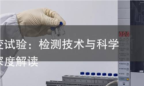 揭秘徐变试验：检测技术与科学原理的深度解读