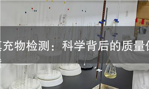 填充物检测:科学背后的质量保障 填充物检测:科学背后的质量保障