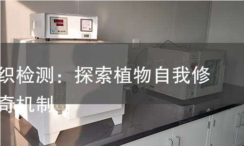 愈伤组织检测：探索植物自我修复的神奇机制