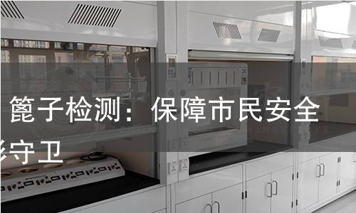 井盖、篦子检测：保障市民安全的隐形守卫