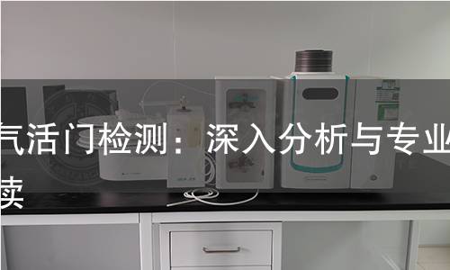 排气活门检测：深入分析与专业解读