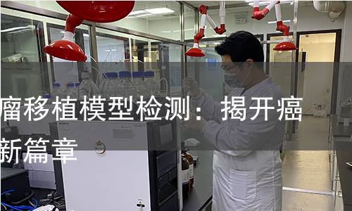异种肿瘤移植模型检测:揭开癌症研究新篇章 异种肿瘤移植模型检测:揭开癌症研究新篇章