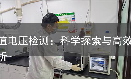 峰值电压检测：科学探索与高效分析