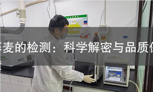 荞麦的检测:科学解密与品质保障 荞麦的检测:科学解密与品质保障