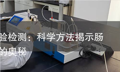 润肠实验检测：科学方法揭示肠道健康的奥秘