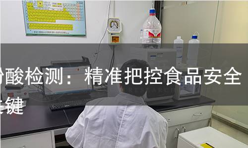 霉酚酸检测：精准把控食品安全的关键