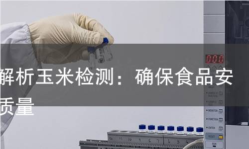 全面解析玉米检测:确保食品安全与质量 全面解析玉米检测:确保食品安全与质量