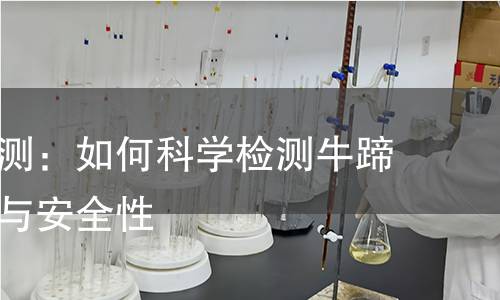 牛蹄筋检测：如何科学检测牛蹄筋的质量与安全性