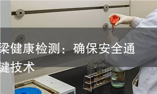 公路桥梁健康检测：确保安全通行的关键技术