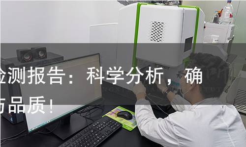 香菇酱检测报告：科学分析，确保安全与品质！