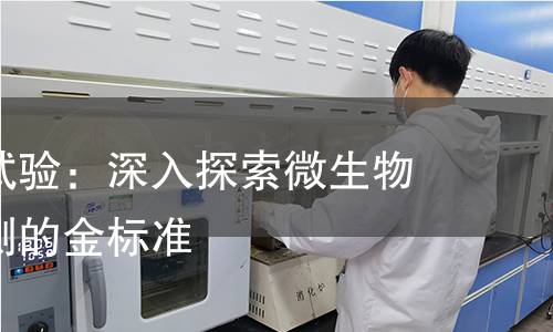 琼脂扩散试验：深入探索微生物抗药性检测的金标准