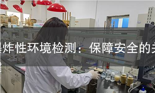 爆炸性环境检测:保障安全的关键 爆炸性环境检测:保障安全的关键