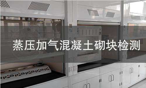 蒸压加气混凝土砌块检测