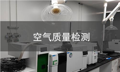 空气质量检测 空气质量检测