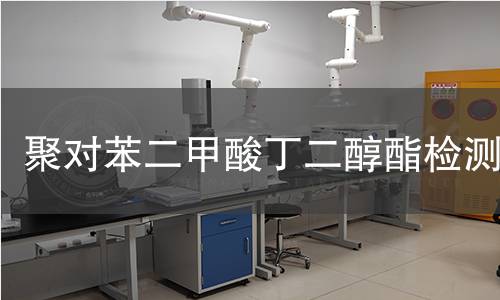 聚对苯二甲酸丁二醇酯检测