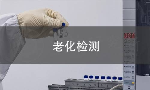 老化检测 老化检测