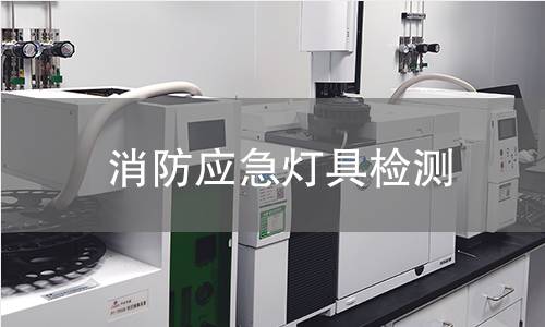 消防应急灯具检测