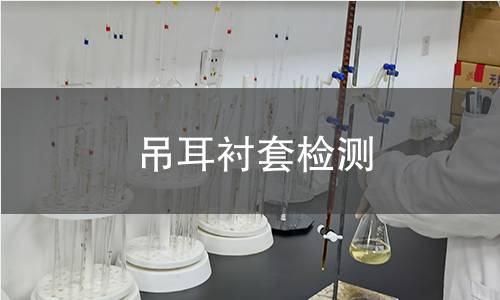 吊耳衬套检测 吊耳衬套检测