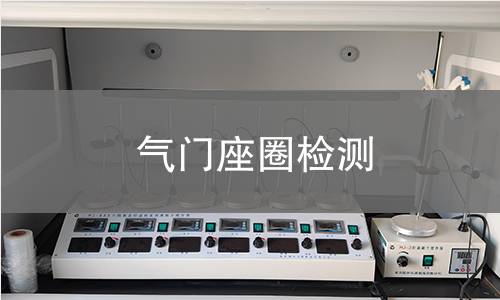 气门座圈检测 气门座圈检测