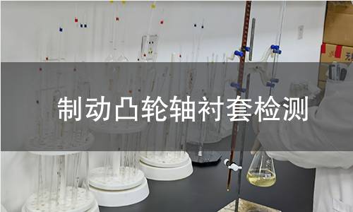 制动凸轮轴衬套检测