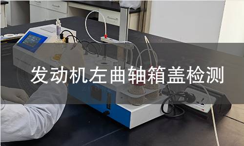 发动机左曲轴箱盖检测 发动机左曲轴箱盖检测