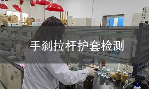 手刹拉杆护套检测