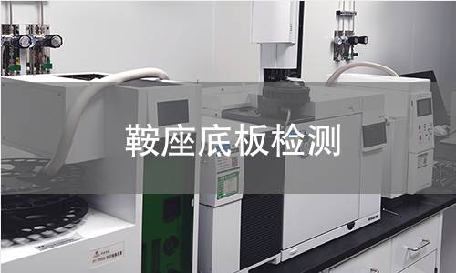 鞍座底板检测