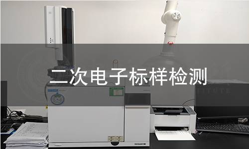 二次电子标样检测
