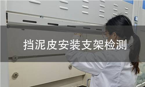 挡泥皮安装支架检测