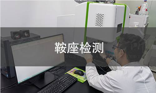 鞍座检测